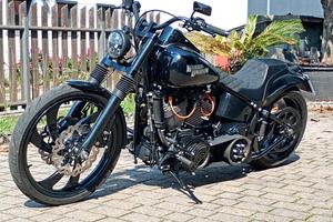 HARLEY-DAVIDSON FXSTB Night Train Special Scream
