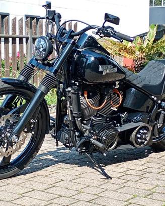 HARLEY-DAVIDSON FXSTB Night Train Special Scream