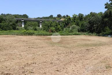 TER. AGRICOLO A RIPA TEATINA