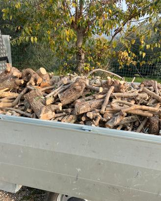 Legna d’ulivo da ardere