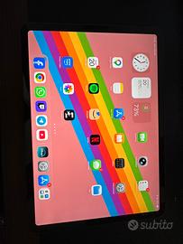iPad Pro 2nd Generazione 11” Wifi 256GB