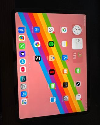 iPad Pro 2nd Generazione 11” Wifi 256GB