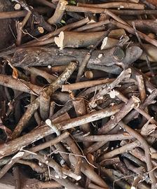 Legna da Ardere Pregiata (Ulivo o Agrume)