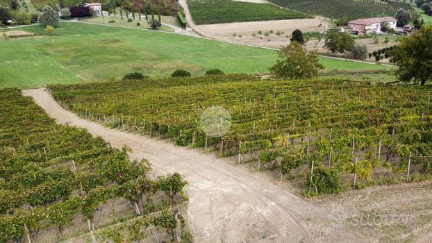 TER. AGRICOLO A CASTELNUOVO CALCEA