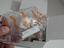 Immagine 3