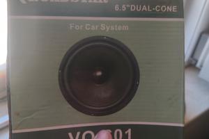 cassa auto nuova 