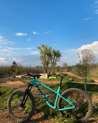 MTB Trek Roscoe 29”