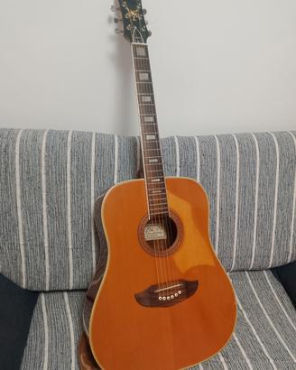 chitarra vintage anni 80