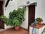 Immagine 10