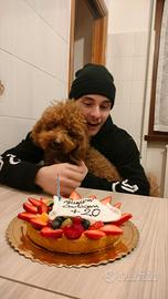 Alloggio per lavoro stagionale