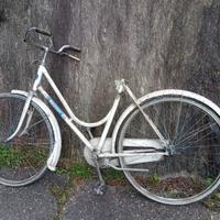 Telaio bici freni a bacchetta Radius