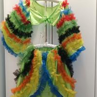 carnevale- brasil - donna