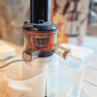 Estrattore di frutta a freddo