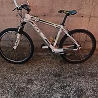 mountain bike ferrini
