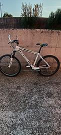 mountain bike ferrini