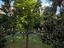 Immagine 27