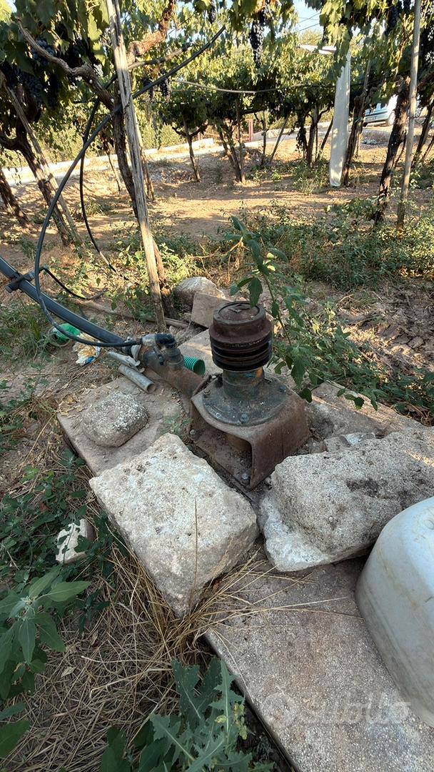 Terreno agricolo - Vista 4