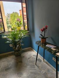 Studio professionale