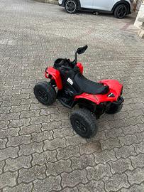 Quad elettrico