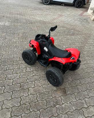 Quad elettrico