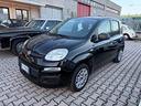 fiat-panda-1-2-easy