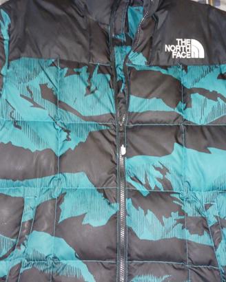 Giubbotto The North Face 