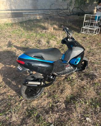  Benelli 491