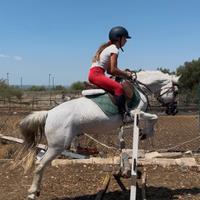 Pony sportiva