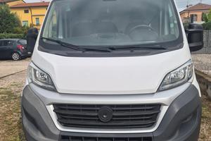 Fiat Ducato 33 2.3 MJT 150CV PM-TM Furgone