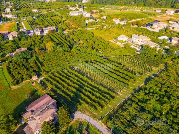 Terreno agricolo di ampie metrature