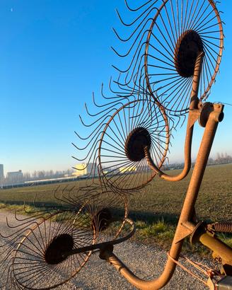 Ranghinatore stellare 4s