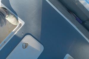 Antiscivolo/Antiskid