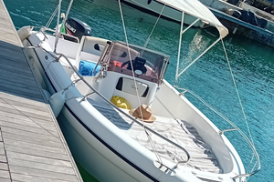 Ranieri Voyager 17 motore carrello