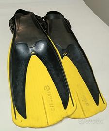 Pinne Tigullio da sub