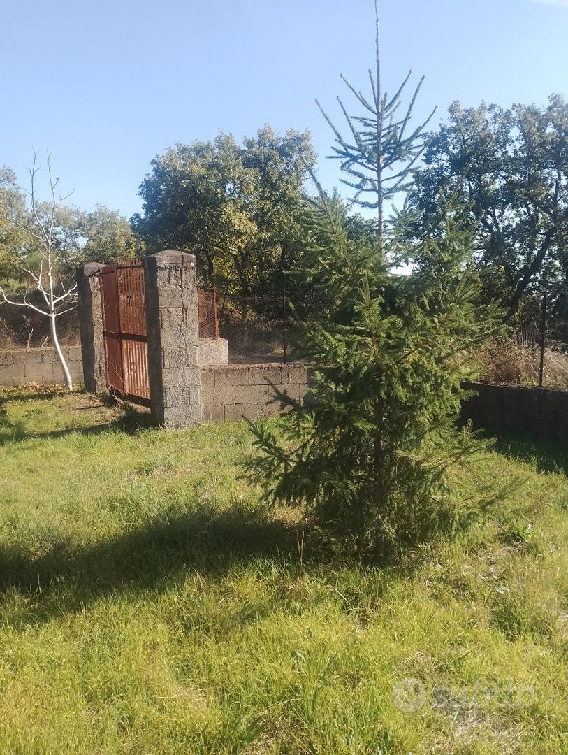 Terreno Belpasso - Vista 2