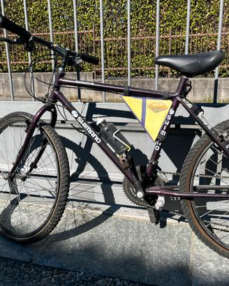 Mountainbike