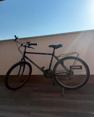 Biciletta 26”
