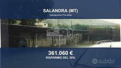 Immobile in asta di 45234 m² a Salandra