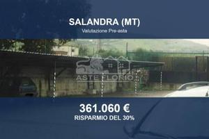 Immobile in asta di 45234 m² a Salandra