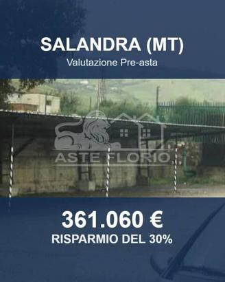 Immobile in asta di 45234 m² a Salandra