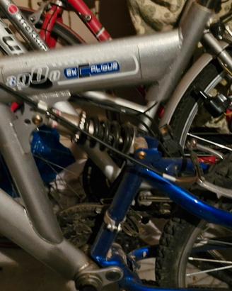vedesi Muntan bike 