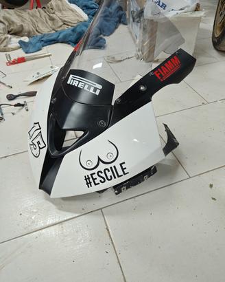 carene racing bmw s1000rr 