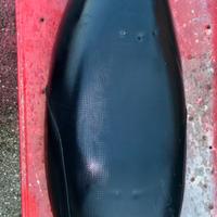 Sella MBK Booster originale – perfette condizioni