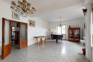 Dove lo spazio incontra le possibilità, Appartamen