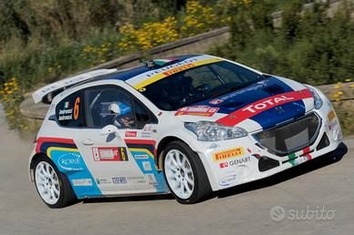 modellino rally peugeot  206 rally  