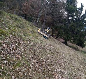 Robogreen per pulizia terreni