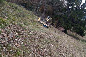 Robogreen per pulizia terreni