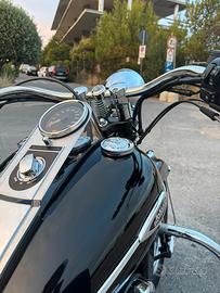 Harley davidson heritage springer