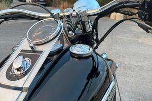 Harley davidson heritage springer
