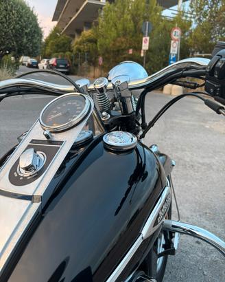 Harley davidson heritage springer
